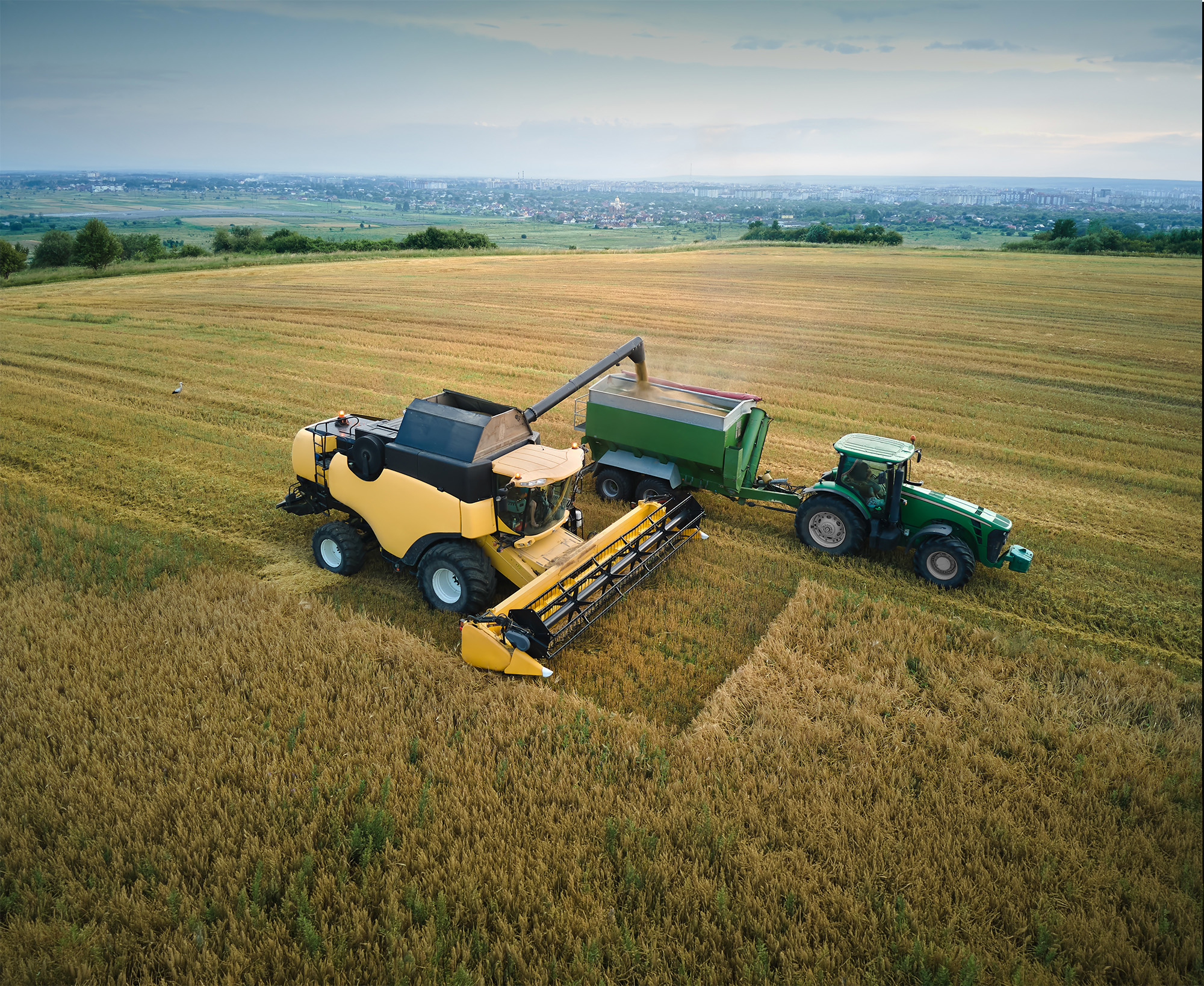 Agriculture