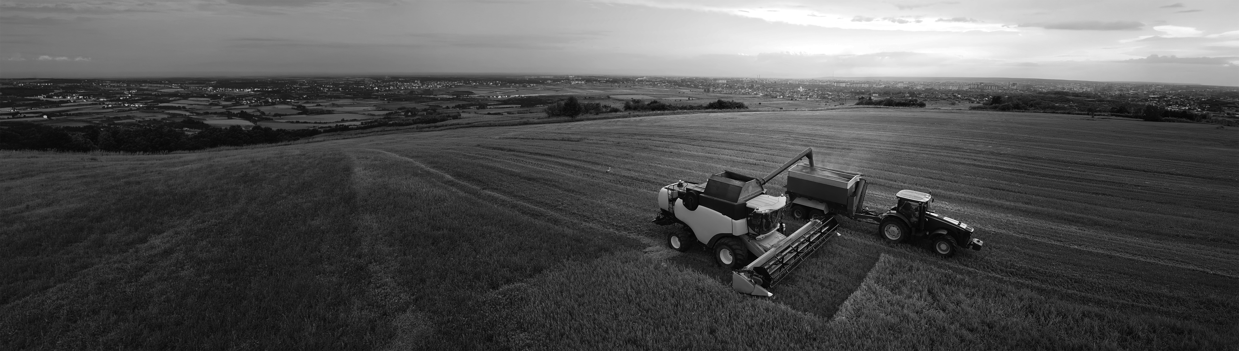 Agriculture